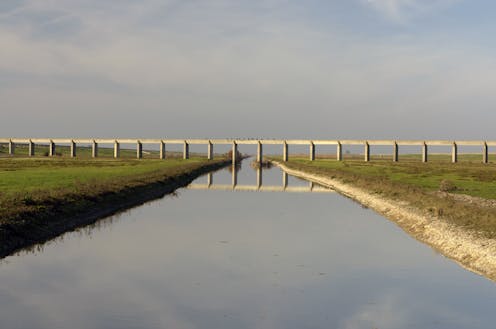 ¿Son los bancos de agua una solución en épocas de sequía? ¿Son los bancos de agua una solución en épocas de sequía?