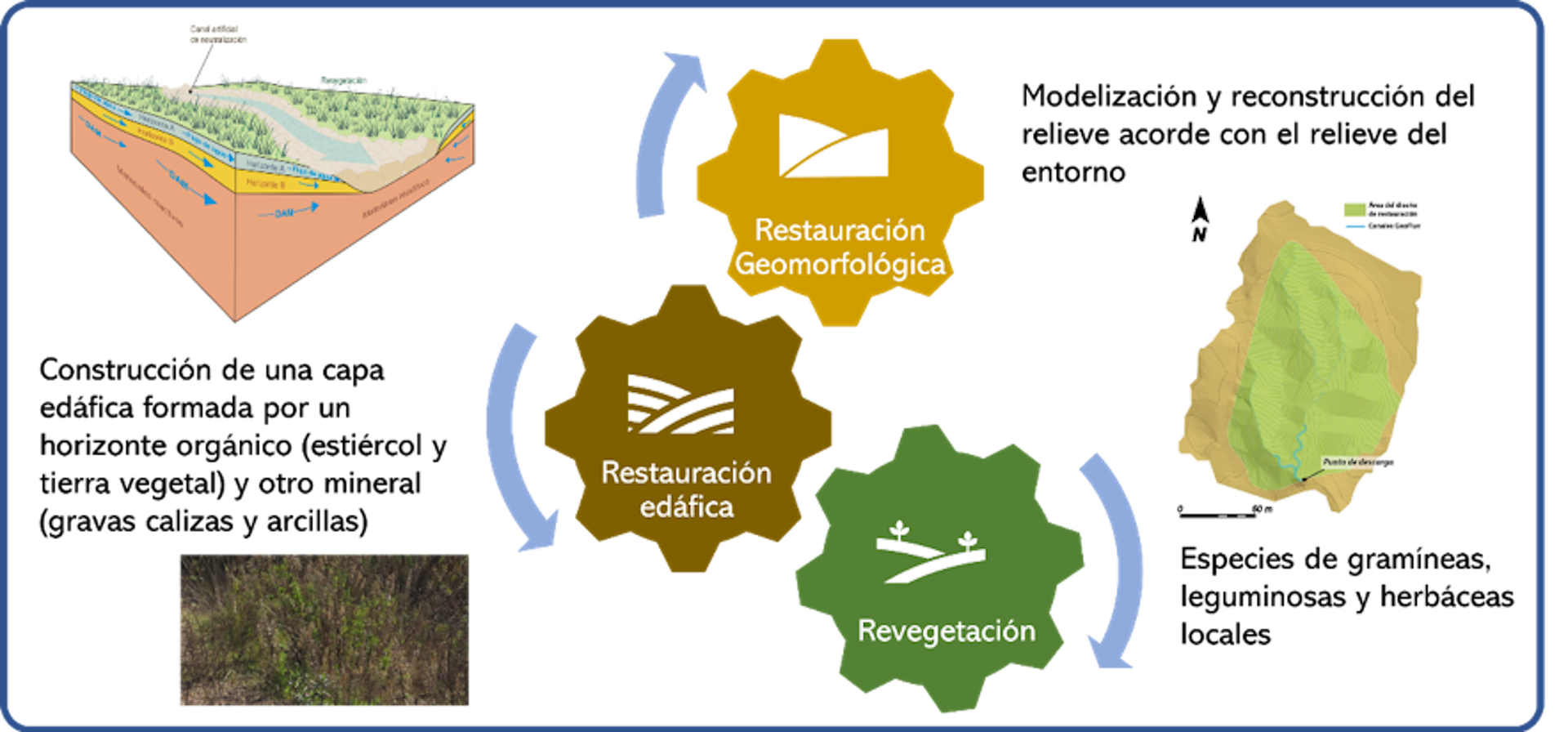 Soluciones Basadas En La Naturaleza