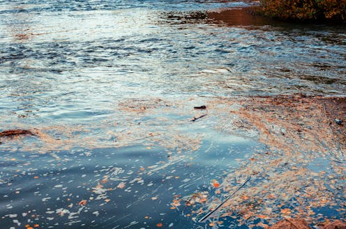 Soluciones basadas en la naturaleza para adaptar la gestión del agua al cambio climático Soluciones basadas en la naturaleza para adaptar la gestión del agua al cambio climático