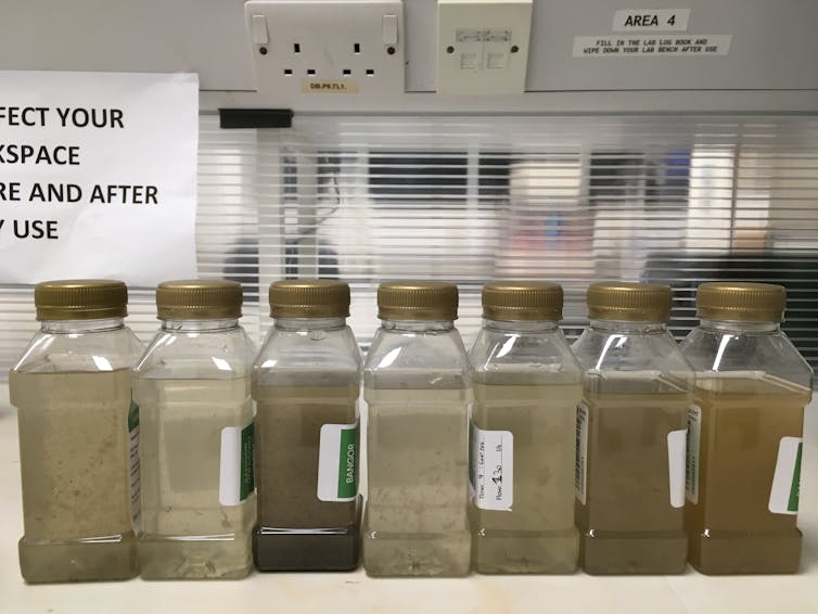 Samples of wastewater in bottles