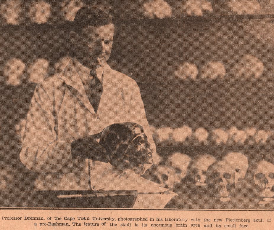 Anatomist and anthropologist Matthew Drennan in his anthropology laboratory at the University of Cape Town in 1931.