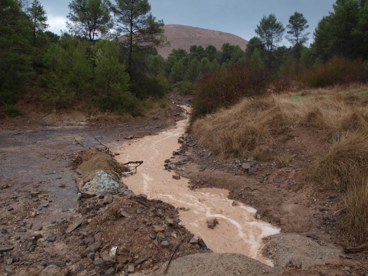 Río con aguas de color marrón