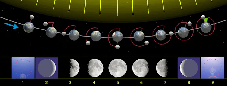 Il Sole illumina sempre metà della Luna, ma dalla Terra vediamo più o meno quest'area illuminata, a seconda della posizione della Luna attorno alla Terra: queste sono le fasi della Luna!