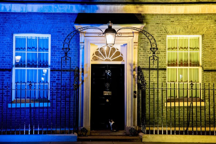 A black cat sits in front of a black door with blue and yellow light projected on to the walls on either side of him.