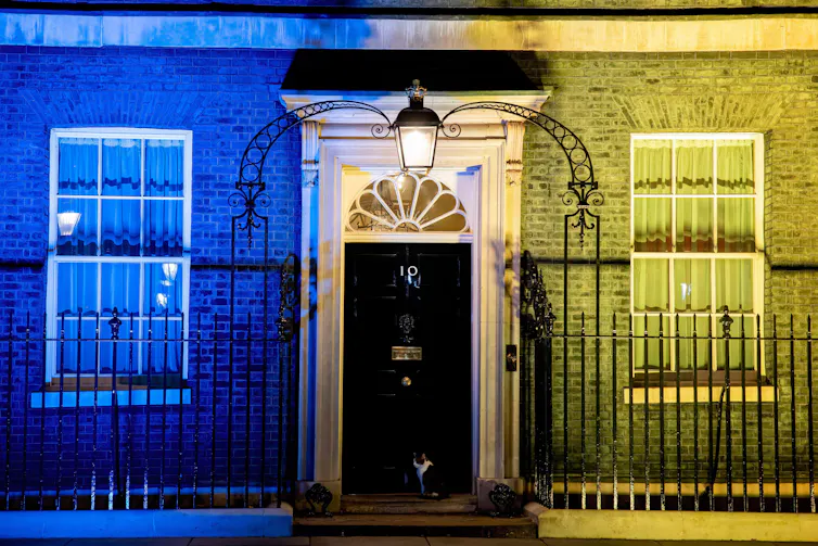 A black cat sits in front of a black door with blue and yellow light projected on to the walls on either side of him.