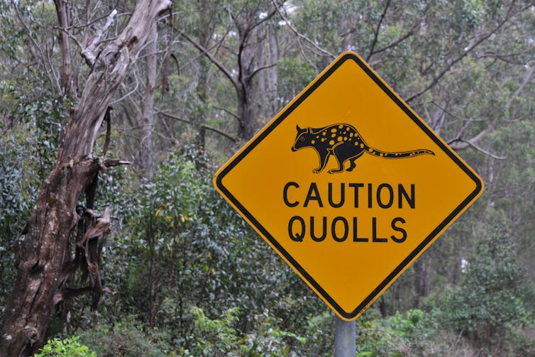 A sign reading 'Caution Quolls'