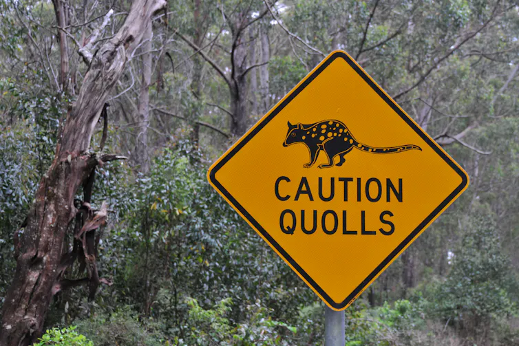 A sign reading 'Caution Quolls'