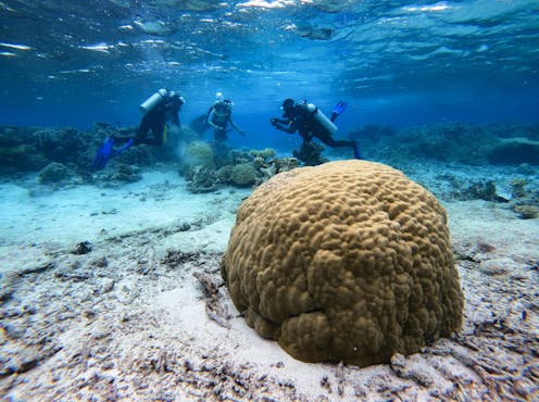 these recent research breakthroughs give us renewed hope for its survival