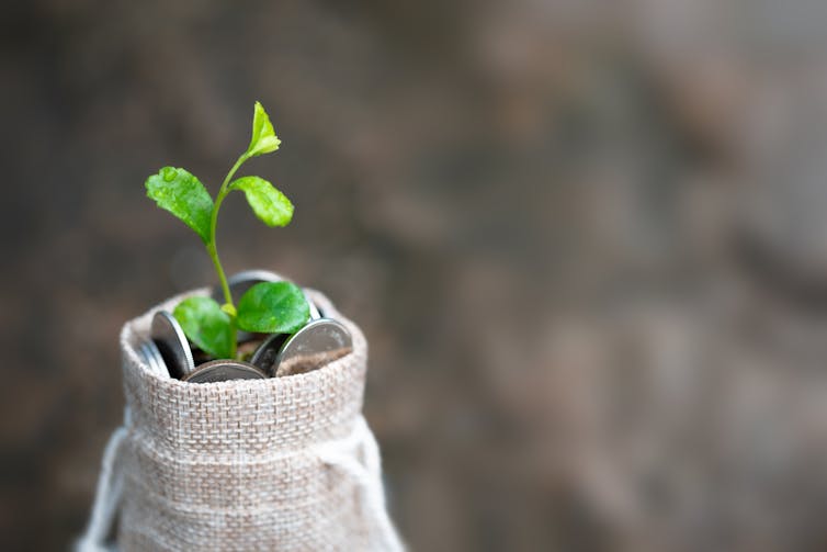 Green shoots growing from small sack of coins.