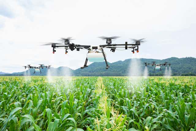 Drones flying over a field of crops.