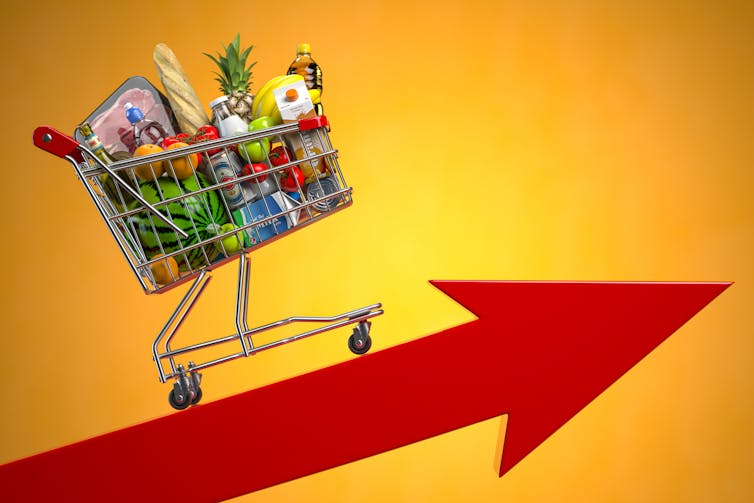 Full shopping trolley on an upward pointing arrow.