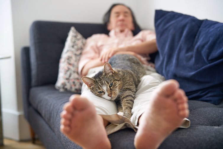 A cat is stretched out on the legs of a person sleeping n a couch.