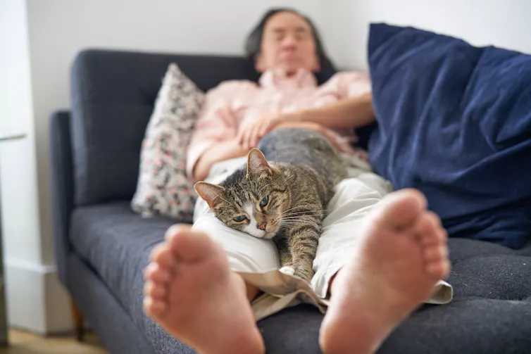 Un chat est allongé sur les jambes d'une personne qui dort sur un canapé.