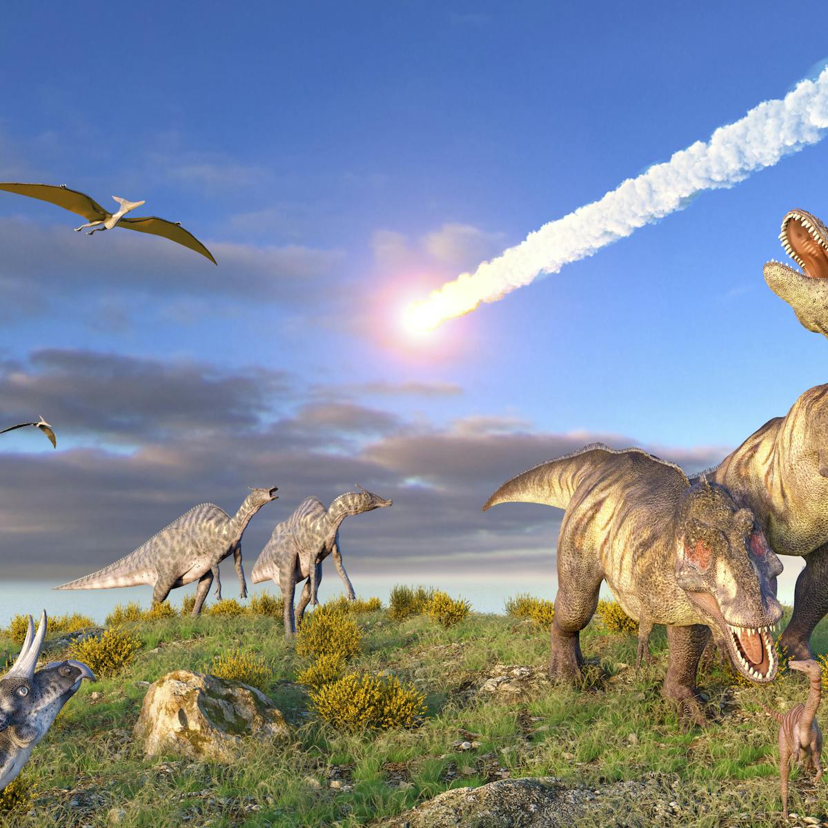 How did cockroaches survive the asteroid that led to the extinction of  dinosaurs?