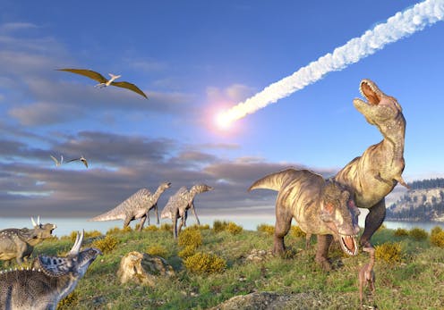 How did cockroaches survive the asteroid that led to the extinction of dinosaurs?