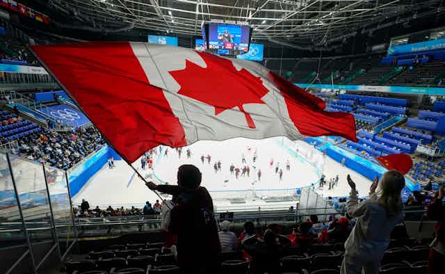 Someone waving a Canadian flag in the stands of a hockey game