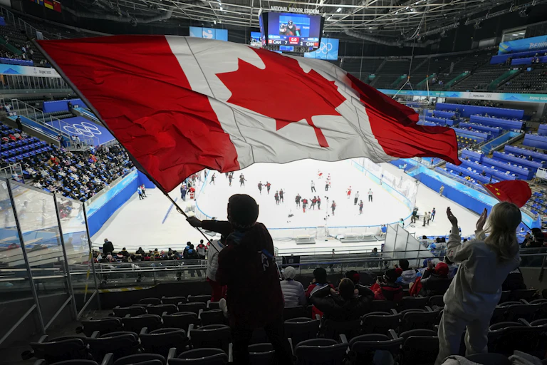 Someone waving a Canadian flag in the stands of a hockey game