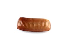 Small brown rectangular egg case on white background