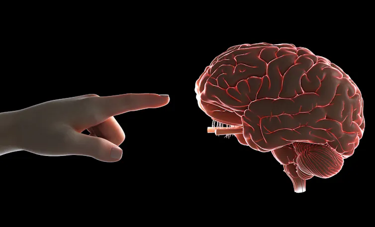 The brain responds differently to natural touch on a finger versus a direct electrical stimulation.