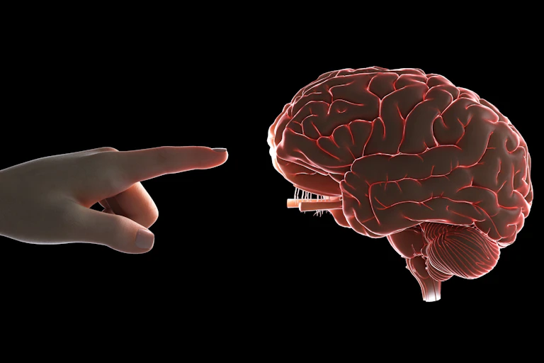 finger reaches toward brain