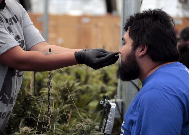 A man smelling a small green plant being held by someone wearing gloves