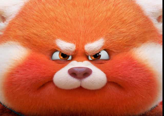 An angry animated red panda. 