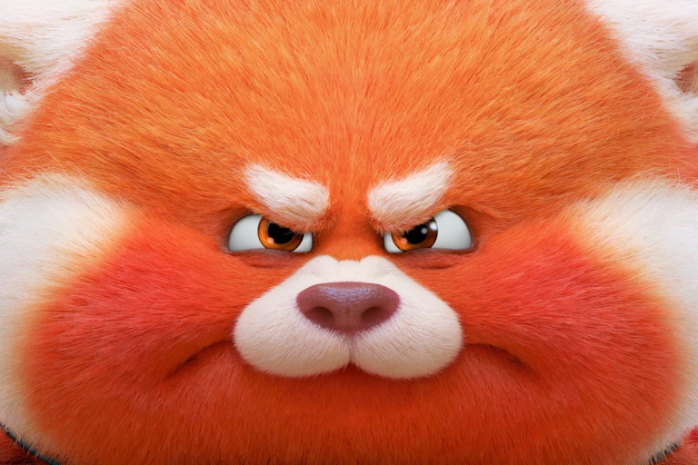 An angry animated red panda.