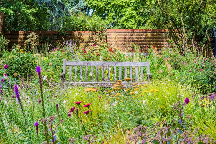 A garden bench surrounded by tall grass and wildflowers.