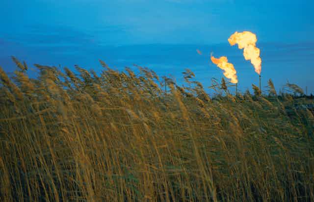 Gas flares against a blue sky with golden wheat in the foreground.