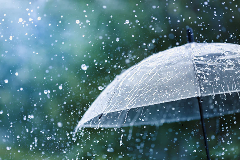 An umbrella held in the rain.