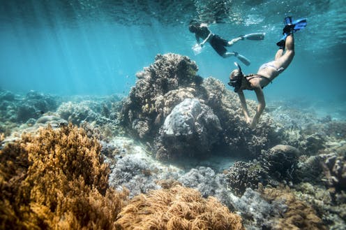 No, sunscreen chemicals are not bleaching the Great Barrier Reef