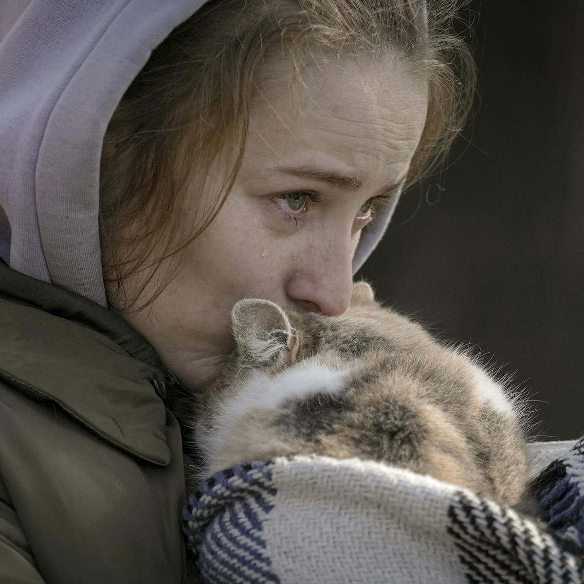 La Guerre En Ukraine Magnifie Notre Amour Des Animaux La Guerre En Ukraine Magnifie Notre Amour Des Animaux