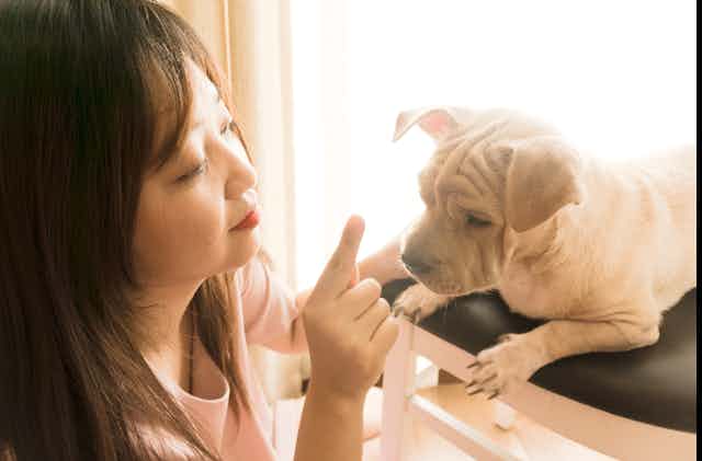 a woman taps a puppy on the nose