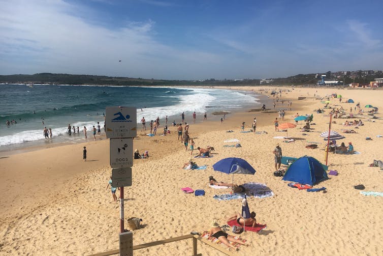 shoreline, sunbathers and swimmers