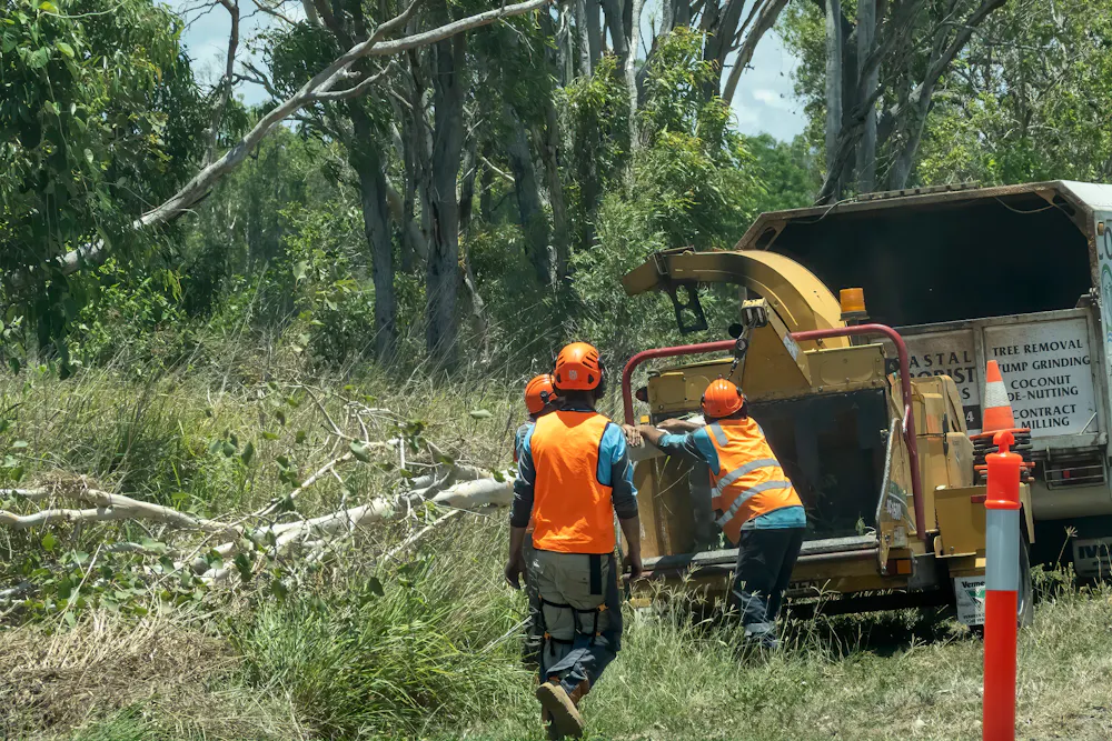 Roadside trees stitch the ecosystems of our nation together. Here’s why ...