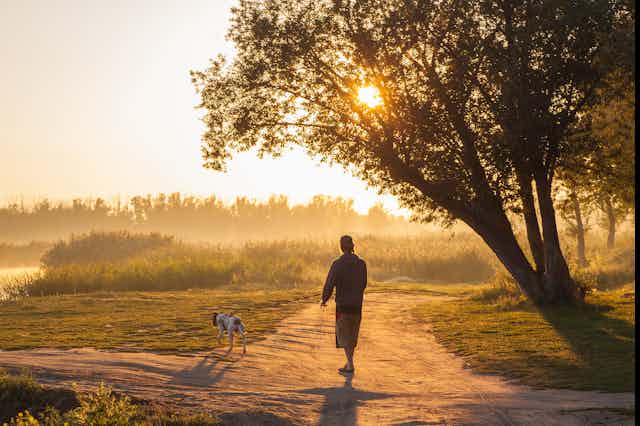 A person walks a dog in a park late in the day.