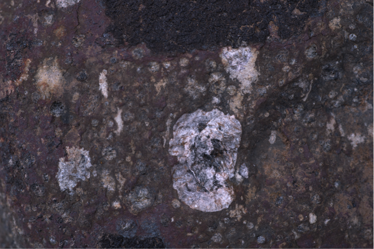 Qual è l’origine dell’acqua sulla Terra? Qual è l’origine dell’acqua sulla Terra?