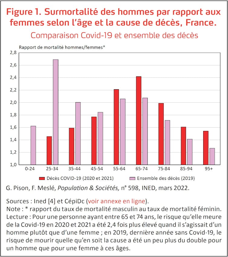 On peut observer les deux bosses, comme jeune adulte et entre 65 et 74 ans