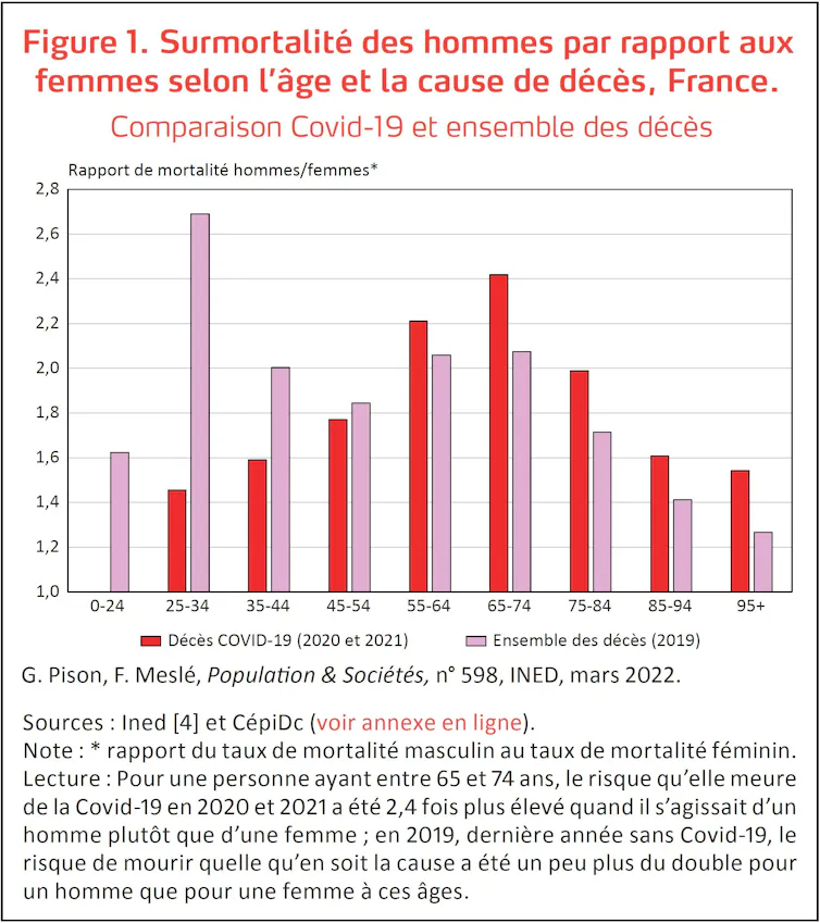 On peut observer les deux bosses, comme jeune adulte et entre 65 et 74 ans
