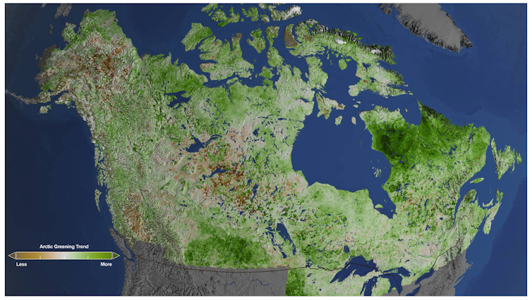 A map of North America showing green areas in the far north.