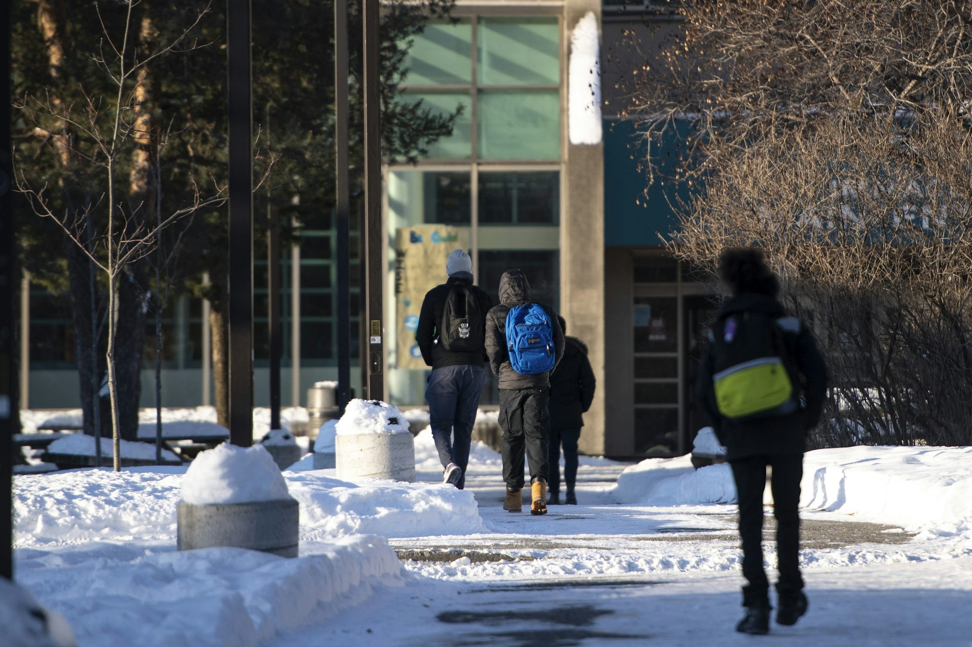 Students seen from the back walking into a school building.
