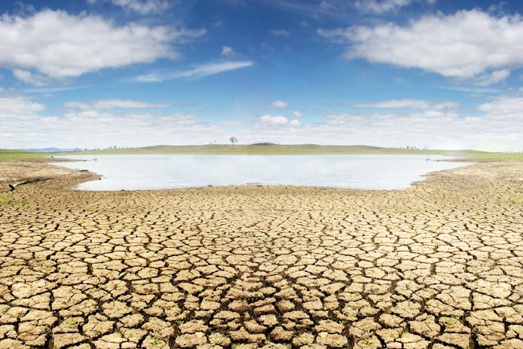 Australia’s environment law doesn’t protect the environment – an alarming message from the recent duty-quashing climate case