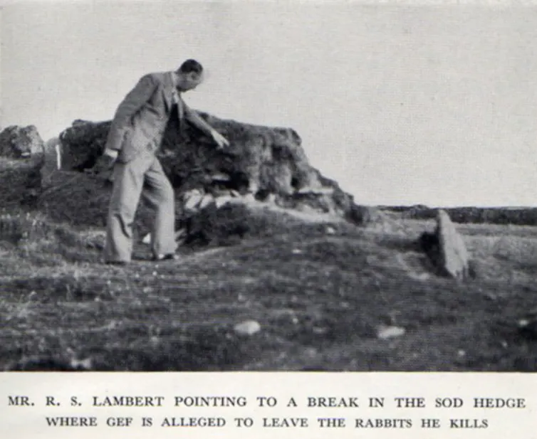 Man points at a spot of earth.