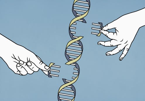 The Human Genome Project pieced together only 92% of the DNA – now scientists have finally filled in the remaining 8%