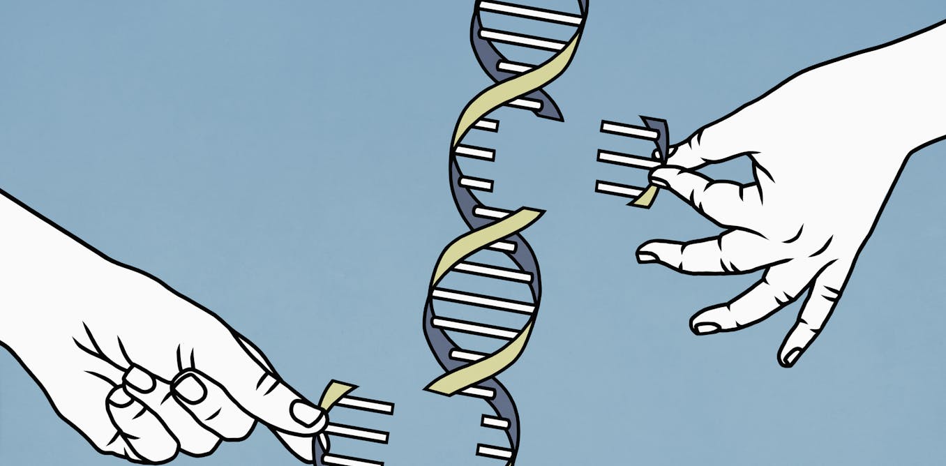 Proyek Genom Manusia hanya menyatukan 92% DNA – sekarang para ilmuwan akhirnya mengisi 8% sisanya