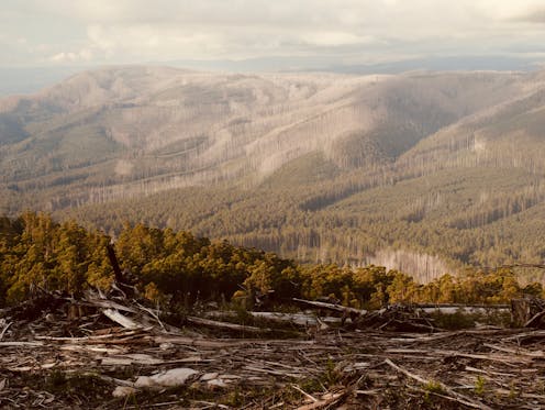 $160 million for nature may deliver only pork and a fudge