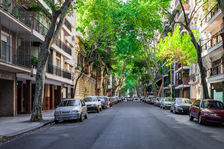 Leafy neighbourhood street