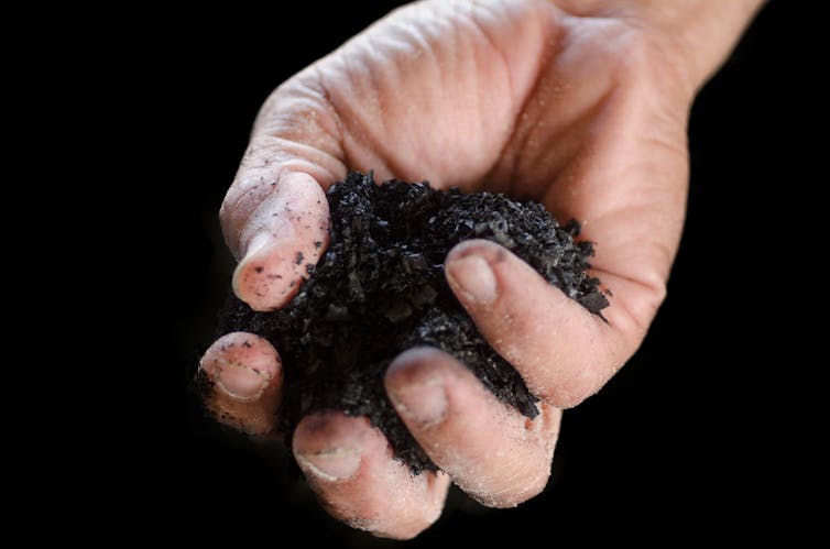 hand holding biochar