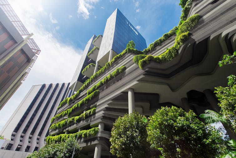 Hotel with plants down face