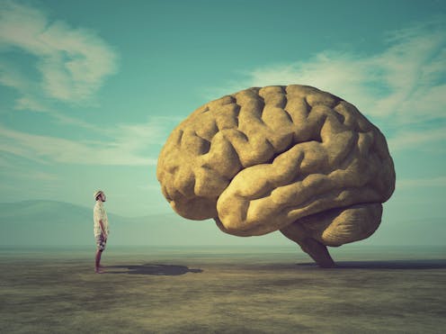 How do I donate my brain to science?